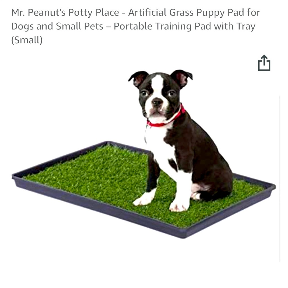 Mr Peanut artificial grass/mat